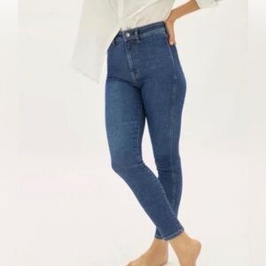 Everlane The Way-High Skinny Jean NWT